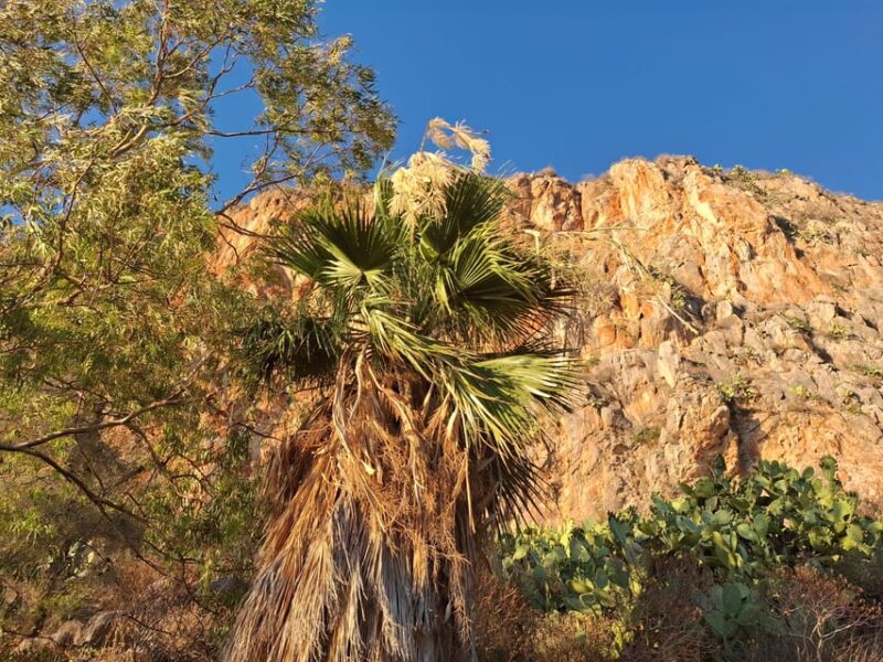 Laugh With Nafplio in Nature - Participant Considerations