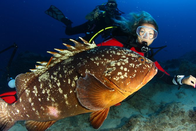 Learn to Dive PADI Open Water Diver Course - Certification Upon Successful Completion
