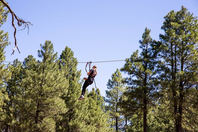 Ledgewood Adventure Course - Adventure Highlights