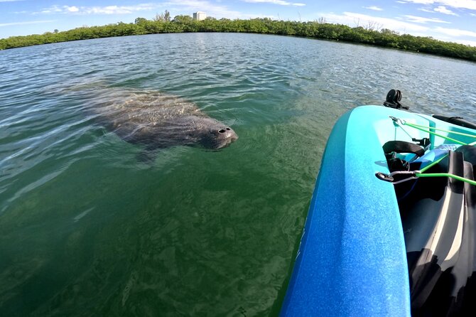Lido Key Pedal Kayak Tour in Sarasota - Exploring the Natural Wonders