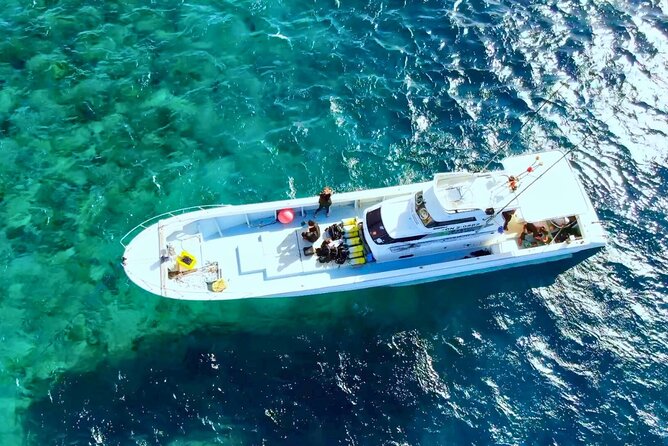 [Limited Time] From Onna Village (Maeda Fishing Port)! Whale Watching｜Completely Reserved Boat Charter Plan (4 Hour Course) - Participation Guidelines and Health Recommendations