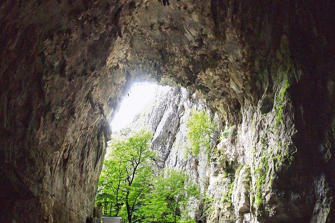 Lipica Stud Farm and Skocjan Caves Half Day Trip From Ljubljana - Tips for a Great Trip