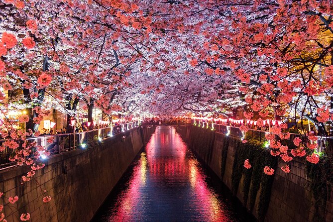 Luxury Haneda Airport Transfer Including 2 Hours Standby Time - Standby Time and Flexibility