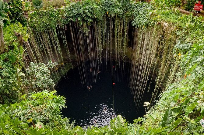 Majestic Trip to Chichen Itzá, PRIVATE TOUR - Important Tour Guidelines