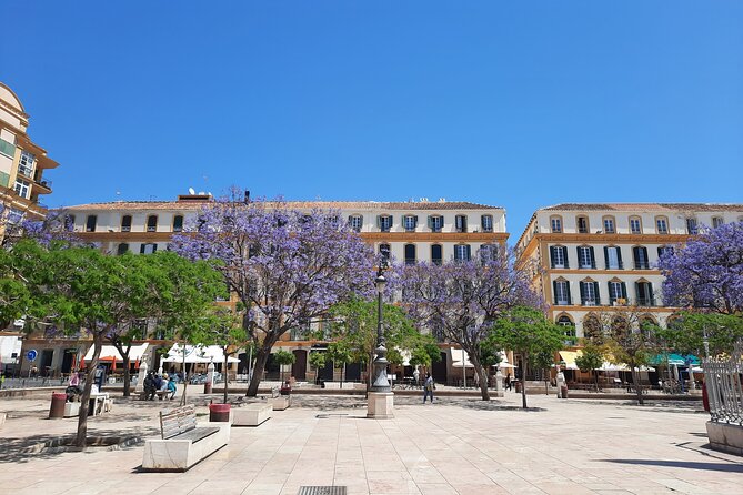 Malaga Half-Day Walking City Tour With Private Expert Guide - Ask Away