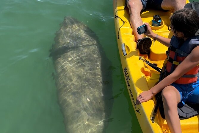 Manatee Discovery Anna Maria Island - Feedback From Satisfied Customers