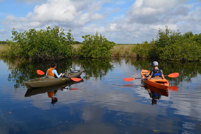 Manatees, Grasslands and Mangroves Kayak Tour (Small Group Tour) - Discovering Grasslands and Mangroves