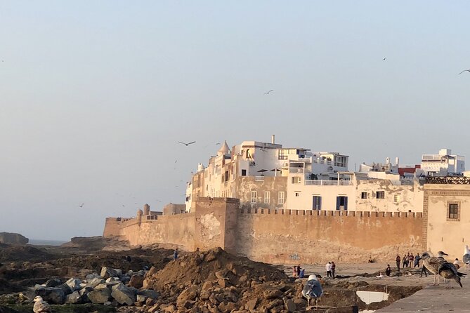 Marrakech Day Trip to Essaouira - Horseback, Camel Ride, ATV on the Beach - Traveler Experiences and Reviews