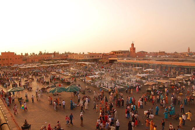 Marrakech Guided Day Trip From Taghazout - Pickup and Accessibility