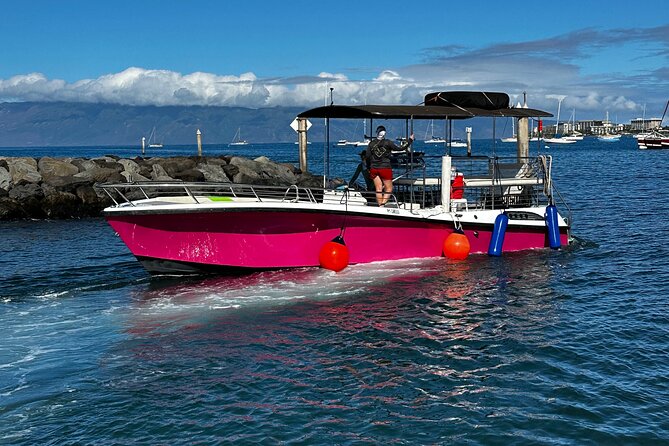 Maui Mid Day Magic Whale Watch - Accessibility