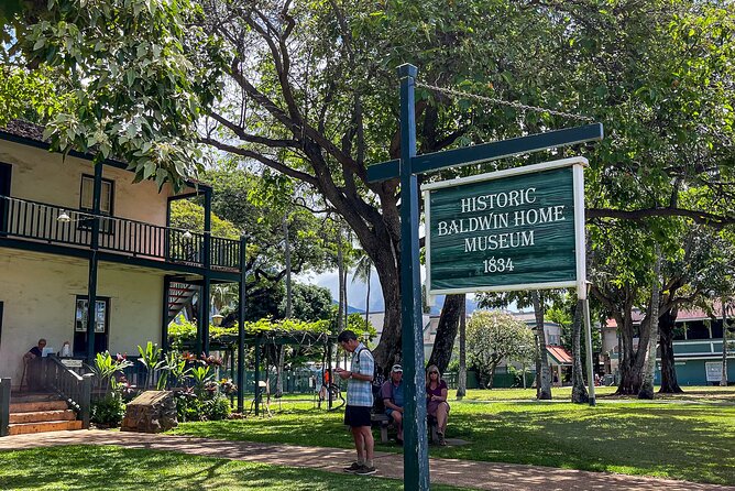 Maui Shore Excursion Review: A Day to Remember - Flexibility and Personalized Experience