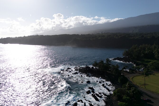 Maui's Sea Turtles, Waterfalls and Road to Hana Adventure - Knowledgeable and Engaging Tour Guide
