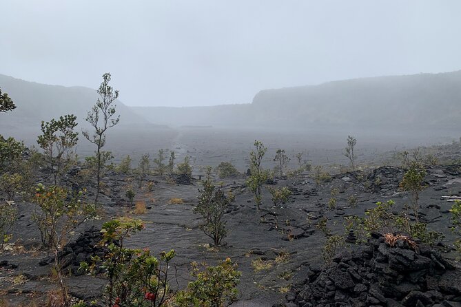 Meet in the Park - Private Hawaii Volcanoes National Park Tour - Booking Your Tour