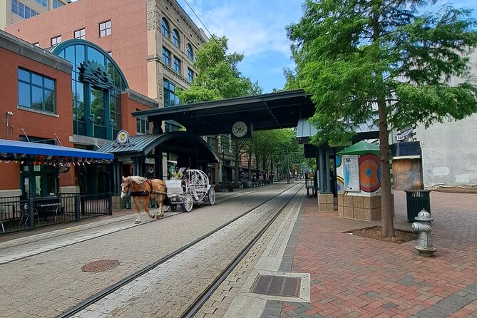 Memphis City Highlights: Private Guided Sightseeing Tour - Meet Your Guide and Tour Logistics