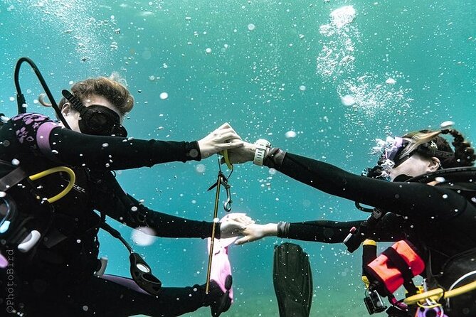 Mesmerizing Private SCUBA Diving Charter Review - Booking and Pricing Information