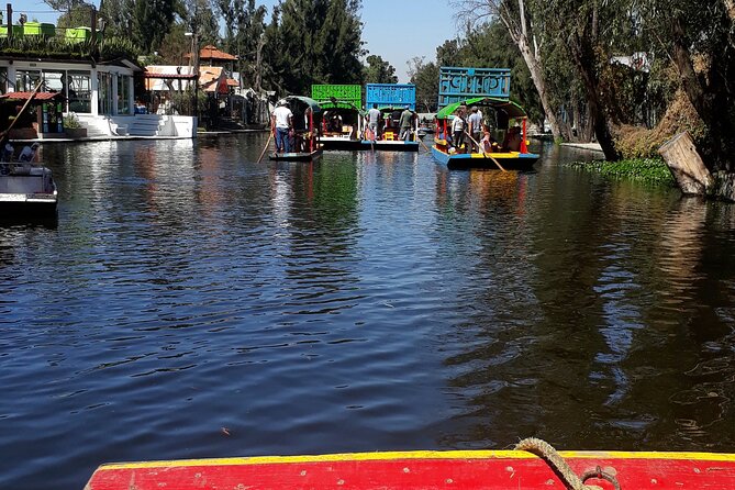 Mexico City Fast Discovery Tour With a Local Guide, Custom & Private - Popular Areas to Explore