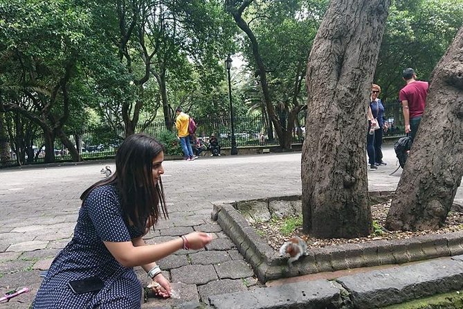 Mexico City in a Private Tour. - Highlights of the Tour