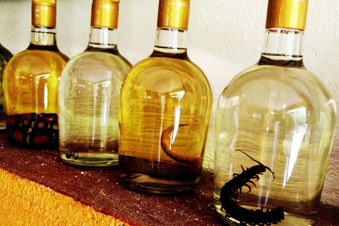 Mezcal Factory Tasting Learning Experience Drink Lunch and More - Tour Inclusions and Details