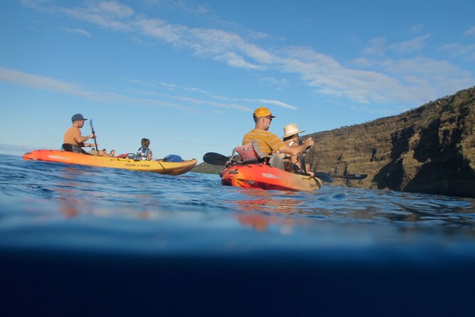 Midday Meander - Kealakekua Bay Kayak and Snorkel Adventure - Reviews and Feedback