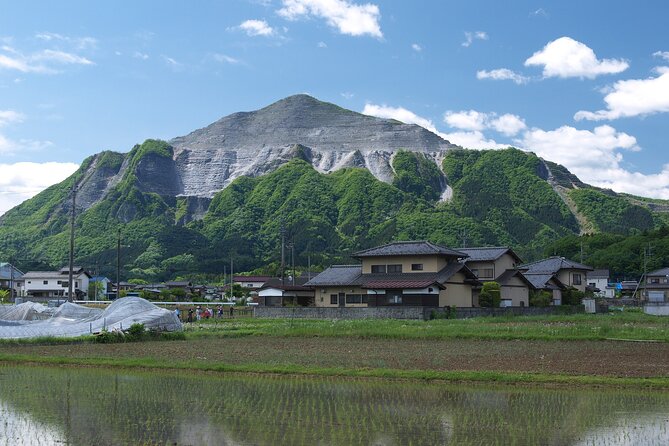 Mikoshi, a Portable Shrine Into the River! Chichibu Kawase Fest. - Sachikos Expertise and the Festival Experience