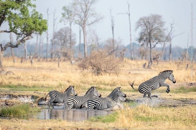 Mikumi National Park 3 Day Tour - Frequently Asked Questions