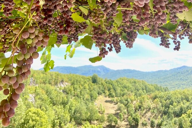 Mindful Yoga Retreat in Nature - Daily Itinerary and Activities
