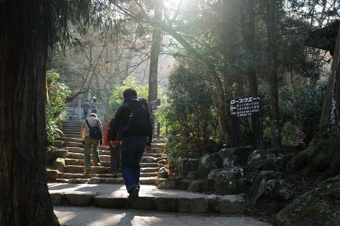 Miyajima Island Tour With Certified Local Guide - Cancellation and Confirmation Policy