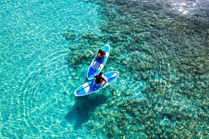 Miyako Two Activities in Half Day SUP and Sea Turtle Snorkeling - Highlights of the SUP Experience