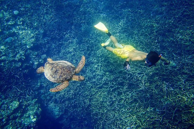 [Miyakojima, Diving Experience] Completely Charter Than 2 People Sea Turtle and Shark Sometimes Madaratobiei! Skin Diving at Deeper Points - Booking and Cancellation Policy