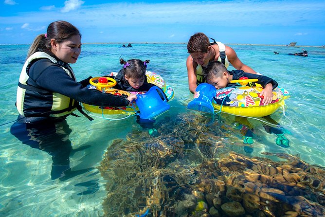 Miyakojima / Snorkel Tour to Enjoy Coral and Fish - Coral and Marine Life Highlights