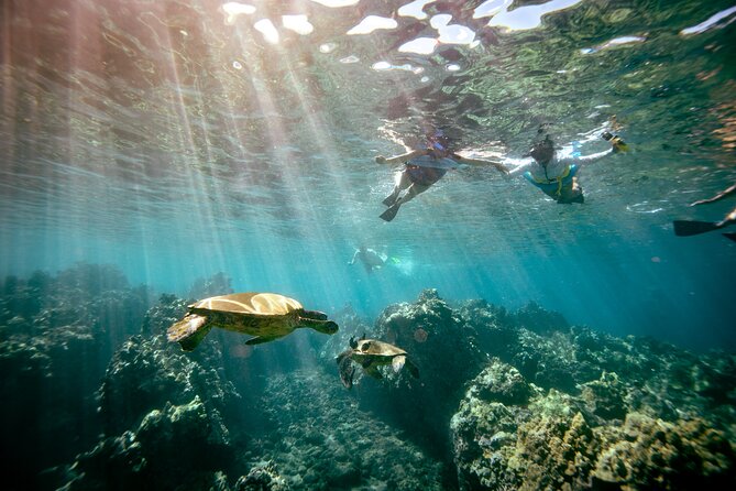 Molokini Snorkel & Whale Watching From Kihei - Crew and Tour Highlights