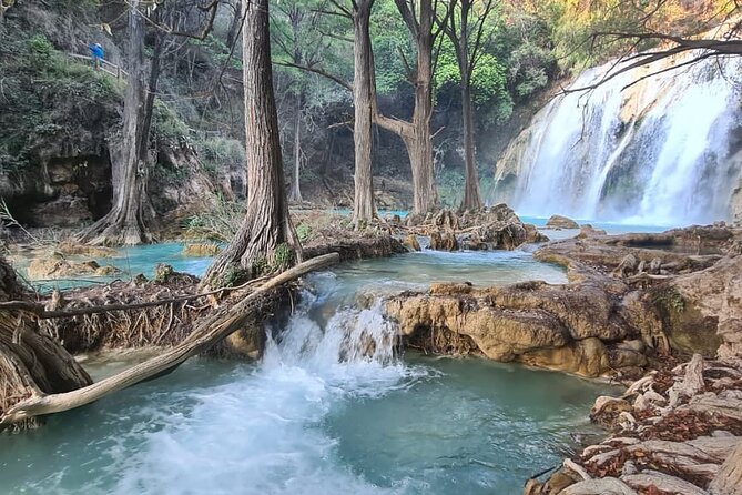 Montebello Lakes and Waterfalls Tour From San Cristobal - Customer Reviews and Feedback