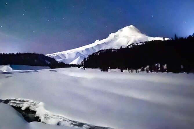 Moonlight Snowshoe Hike - Exploring the Winter Wonderland