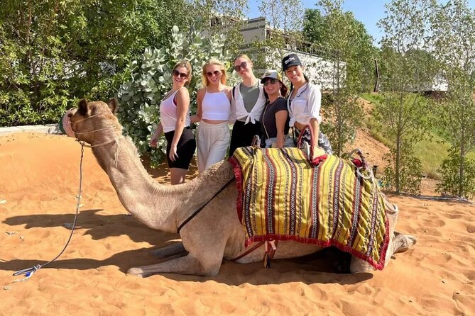 Morning Desert Safari With Camel Rides, Sand Boards and Dune Bashing - Frequently Asked Questions
