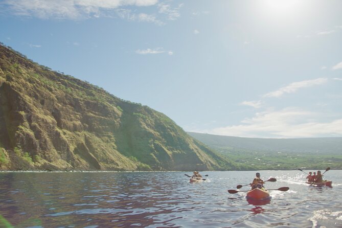 Morning Magic Kayak and Snorkel Adventure in Kealakekua Bay - Reviews and Feedback