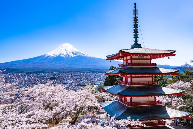 Mount Fuji 5 Iconic Instagrammable Spots Tour - Language and Guide Services