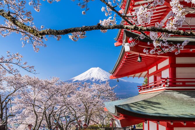 Mount Fuji Five Lakes Tour From Tokyo With Guide & Vehicle - Customizable Itinerary