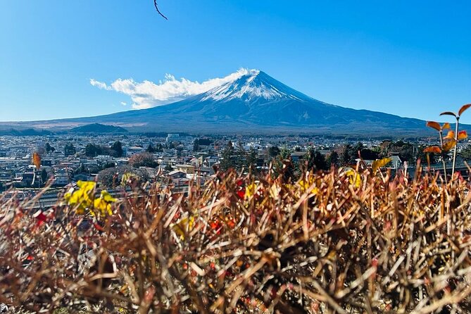 Mount Fuji Full Day Private Tour - Reviews