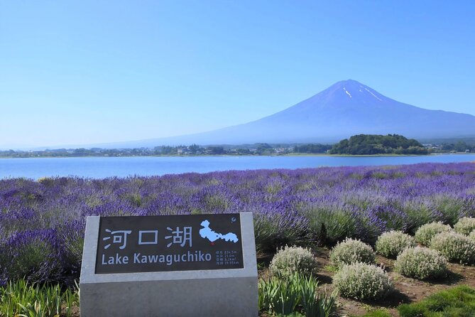 Mount Fuji Full Day Sightseeing Tour From Tokyo - Preparation Tips
