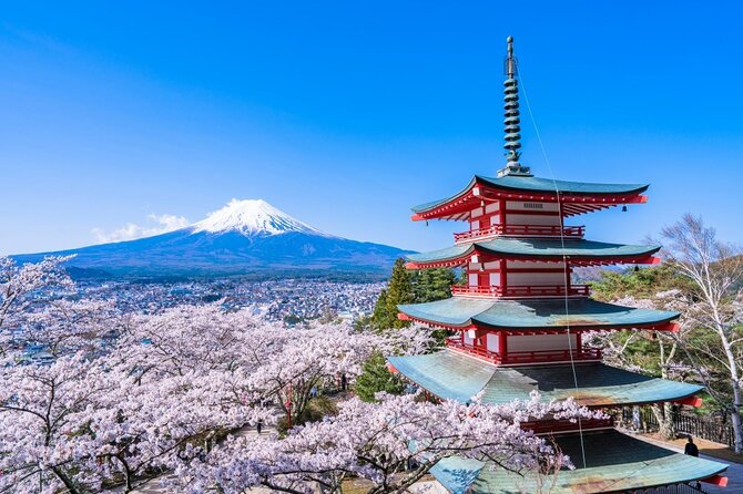 Mount Fuji Private Custom Tour From Tokyo - Frequently Asked Questions