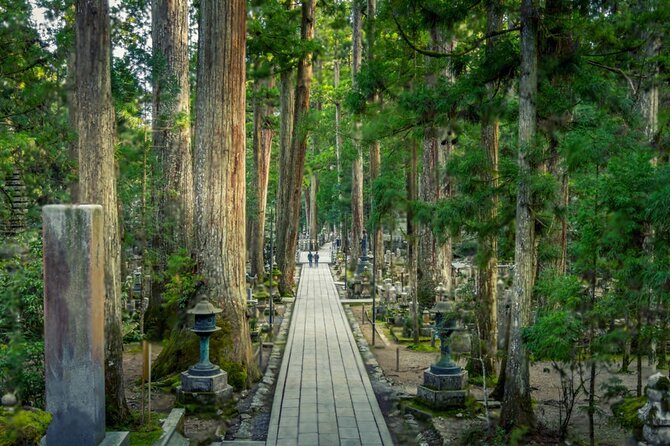 Mount Koya, Wakayama and Nachi Waterfall Tour - Tour Type and Fitness Level