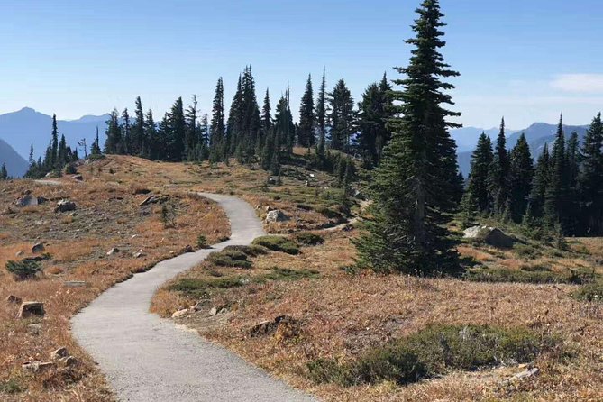 Mount Rainier National Park Day Tour From Seattle - Traveler Feedback and Experiences