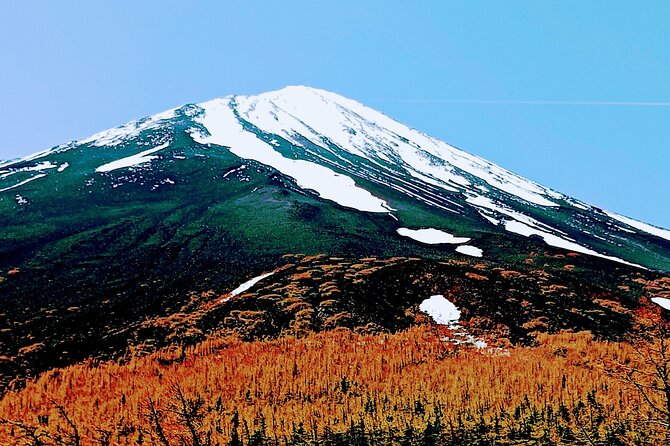 Mountain Fuji Tour In Japan With Professional English Tour Guide - Getting to Mt. Fuji