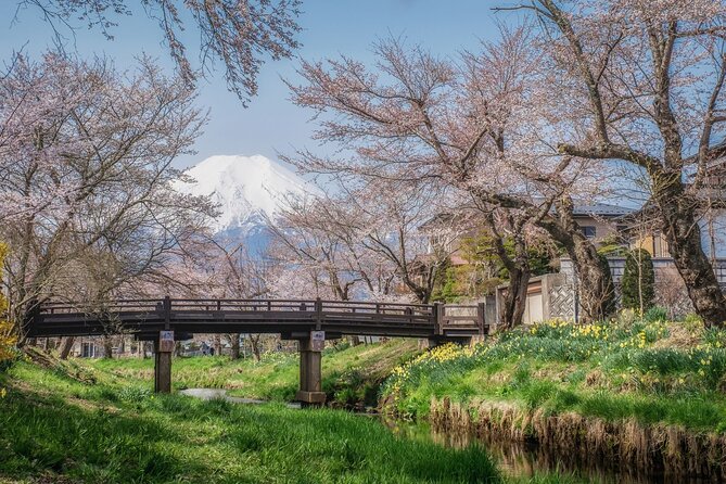 Mt. Fuji 5th Station, Oshino Hakkai and Hot Spring Day Trip - Exploring Oshino Hakkai