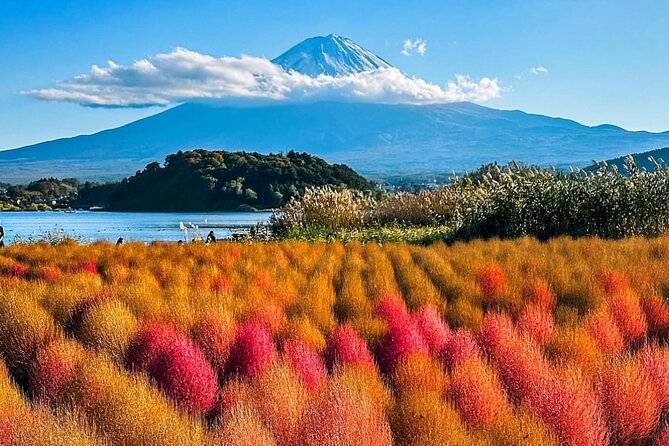 Mt Fuji and Hakone Private Day Tour With English Speaking Driver - Traveler Reviews and Ratings