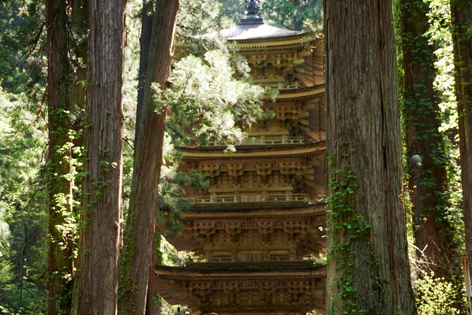 Mt. Fuji and Hakone Private Day Tour With English Speaking Guide - Booking Process