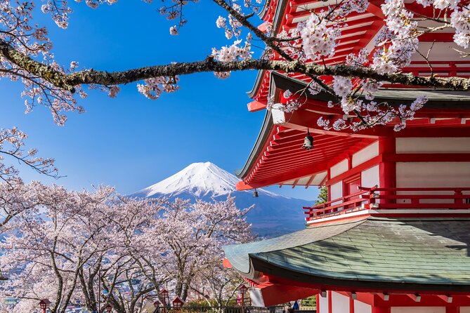 Mt. Fuji Area Tour Tokyo DEP: English Speaking Driver, No Guide - Exploring the Mt. Fuji Area