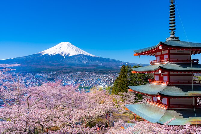 Mt. Fuji Cherry Blossom One Day Tour From Tokyo - Booking and Cancellation