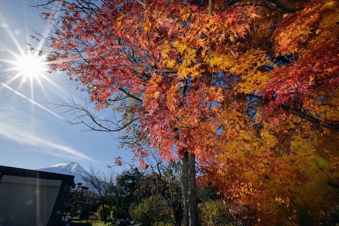 Mt. Fuji & Hakone Day Tour From Tokyo by Car With JP Local Guide - Supplier Information