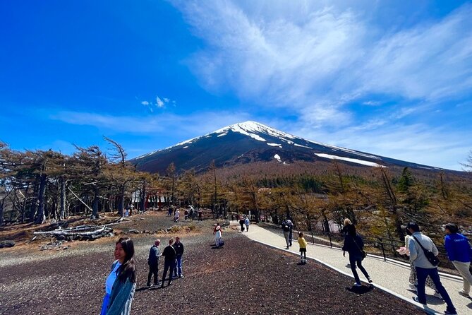 Mt. Fuji & Hakone Private Tour With English-Speaking Guide - Exploring Mount Fuji